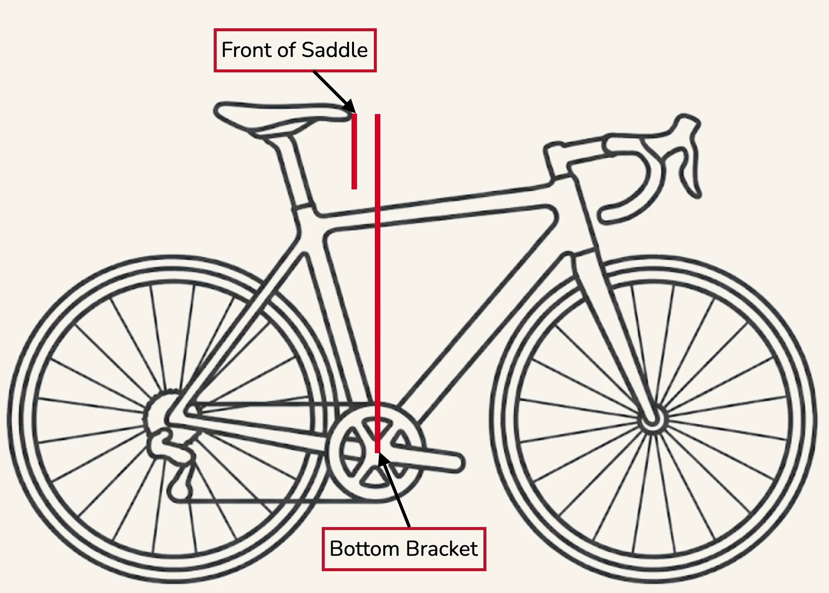 A side view line drawing of a road bike with a red line running from the front of the saddle down to the bottom bracket, showing the fore/aft measurement, labeled "Front of Saddle to Bottom Bracket".