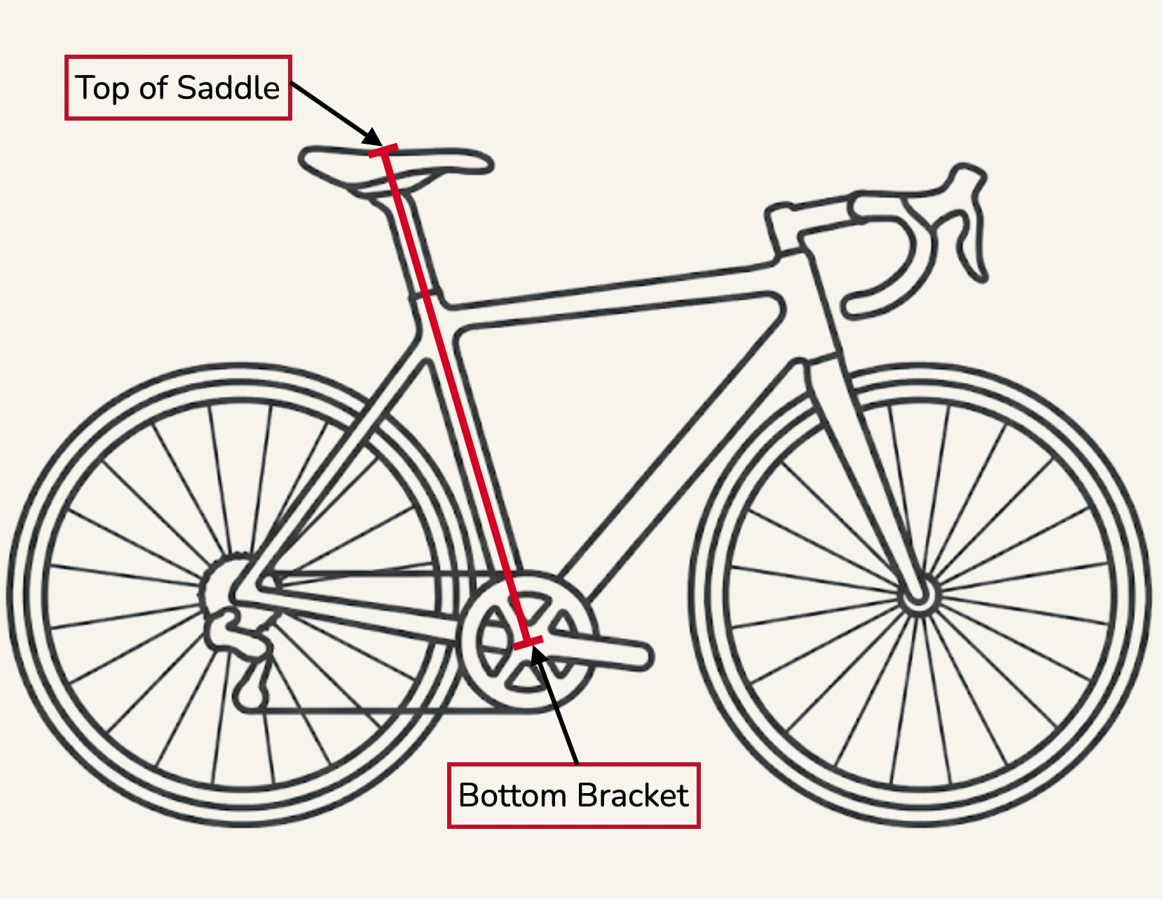 A side view line drawing of a road bike with a red line running from the center of the bottom bracket up along the seat tube to the top of the saddle, showing how saddle height is measured, labeled "top of saddle" at the top point and "bottom bracket" at the bottom point.