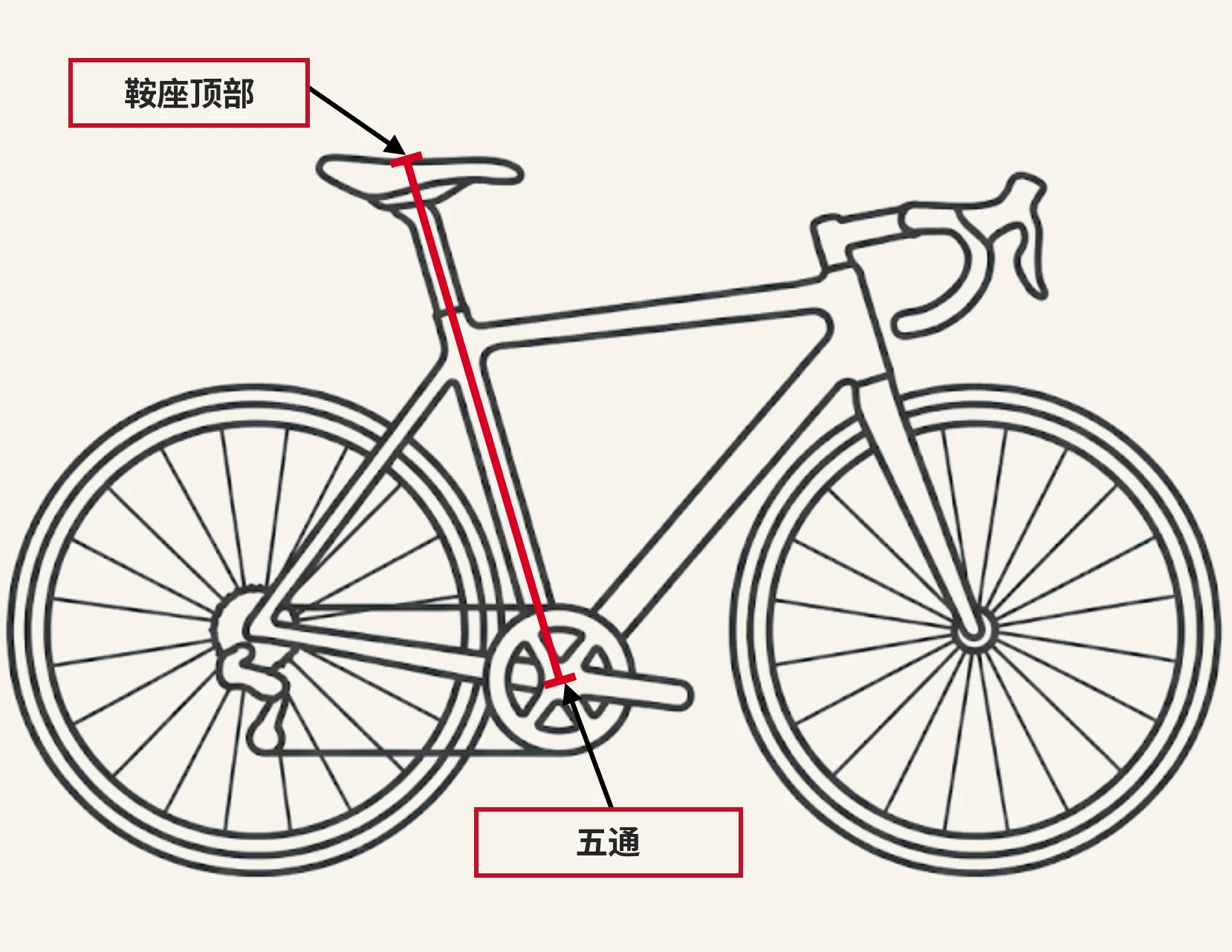 一辆公路车的侧面线描图，一条红线从五通中心沿着立管向上一直到鞍座顶部，说明鞍座高度是怎么量的，上端标注「鞍座顶部」，下端标注「五通」。